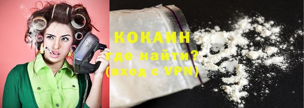 хмурый Магас