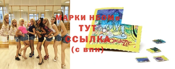 хмурый Магас