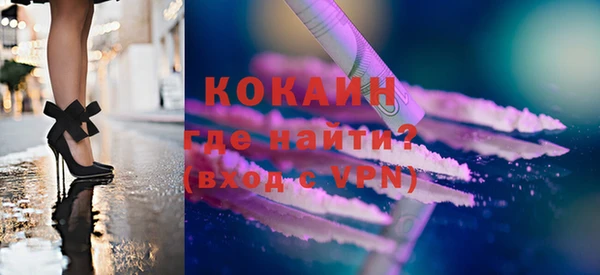 прущие грибы Магадан