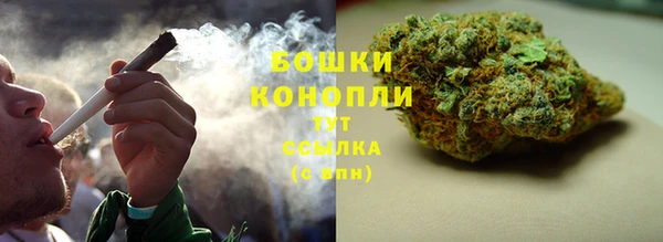 хмурый Магас