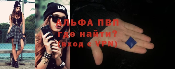 прущие грибы Магадан