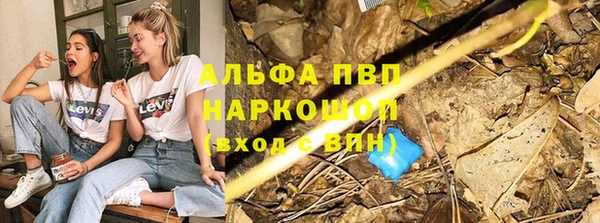 прущие грибы Магадан