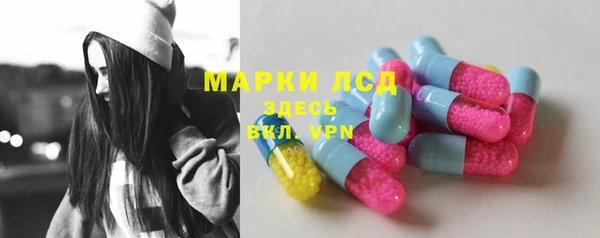 прущие грибы Магадан