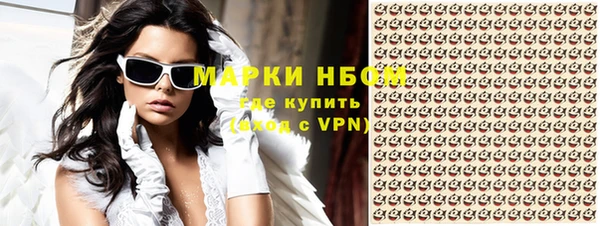 хмурый Магас
