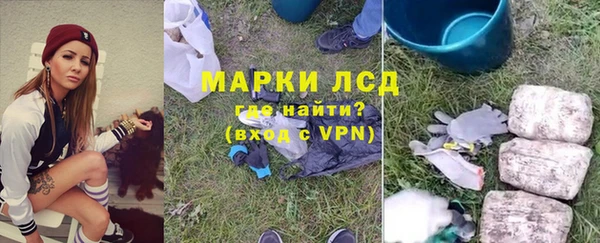 хмурый Магас