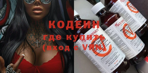 хмурый Магас