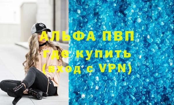 прущие грибы Магадан