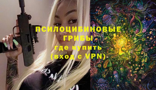 прущие грибы Магадан