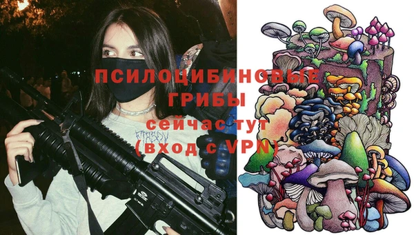 дмт Уссурийск