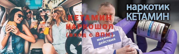 хмурый Магас