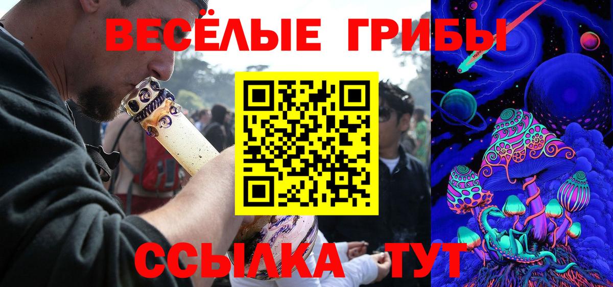 Искитим  Галлюциногенные грибы Cubensis  Вход с VPN  Псилоцибиновые грибы Cubensis 
