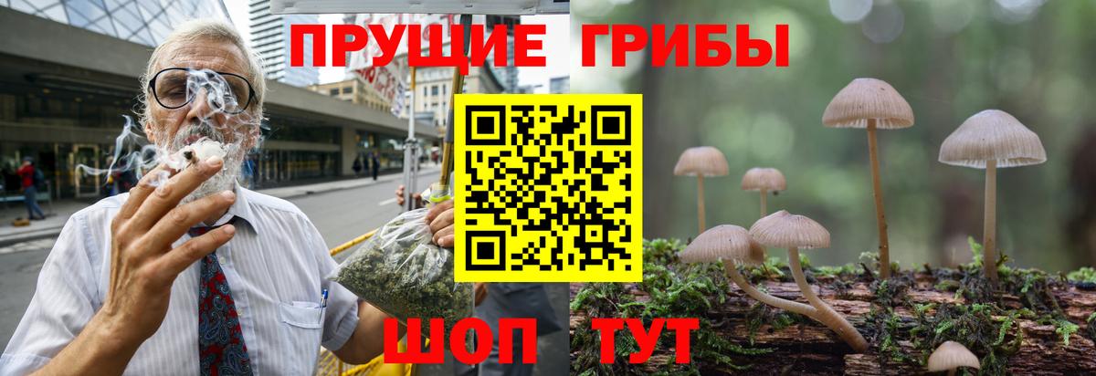 Галлюциногенные грибы Cubensis Искитим